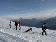 avaro 260